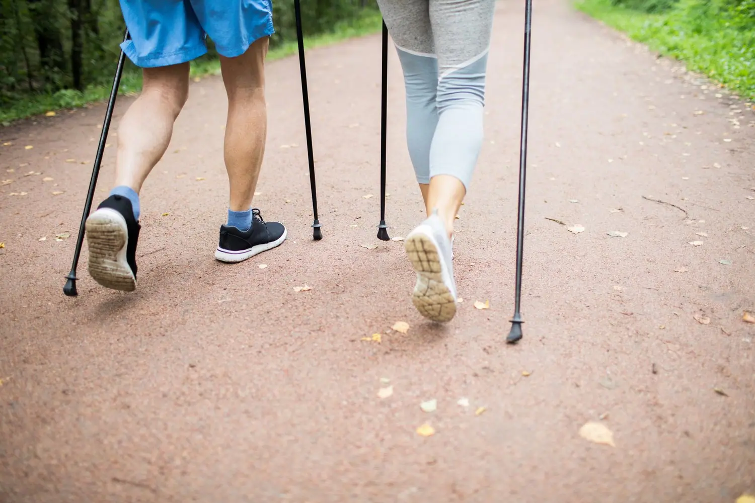 Jak wybrać odpowiedni sprzęt do nordic walking - przewodnik zakupowy